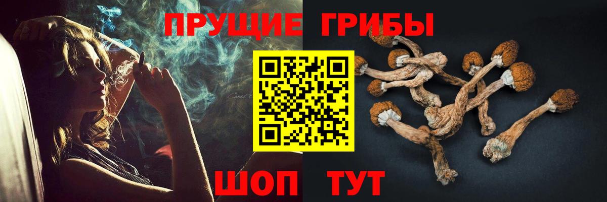 Галлюциногенные грибы Cubensis  Вход с VPN  Краснознаменск  Псилоцибиновые грибы Psilocybine cubensis 